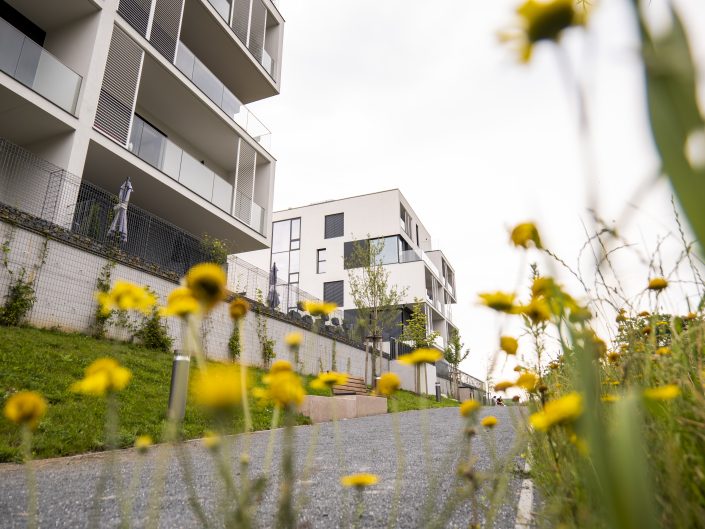 Šantovka Living Day s Romanem Paulusem se přesouvá na jarní termín